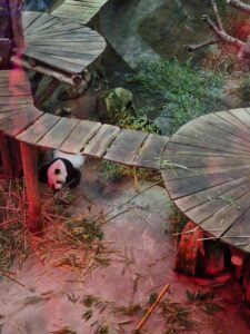 Panda Ouwehand's Zoo
